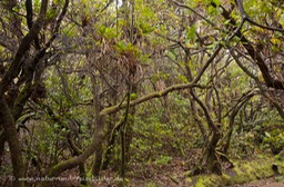 CR2011-29-1