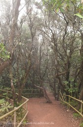 Gomera-39