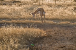 SA2008-06-72